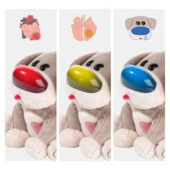 Care Pets – Dr. Dog -Hape Shop 1211702023de0001 20 1500