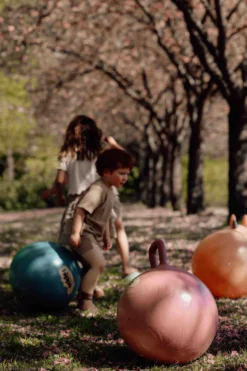 Find That Hippo Bouncing Ball Hopper Ball - Dark Cyan -Hape Shop 53100200 53100202 53100203 nicolaisen j 201 scaled 1