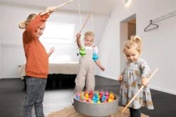 Fishing Ducks Set - Rainbow -Hape Shop 6182026 kids2020 10