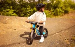 Berg BIKY Cross Blue Handbrake 9 Berg BIKY Cross Blue Handbrake -Hape Shop BERG Biky Cross 4