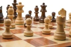 Philos Chess Set, Field 45 Mm -Hape Shop ChessSet field45mm 2