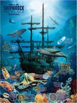 MindWare Dig It Up! Shipwreck Discovery Dig Kit -Hape Shop DIGITUPshipwreckdiscovery 7