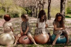 Hopper Bouncer Ball - Turkish Rose 45 Cm -Hape Shop HIP 003 002 011 1 scaled 1