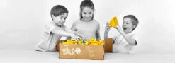 Mobilo Eco Builder Team 554 Piece Pack