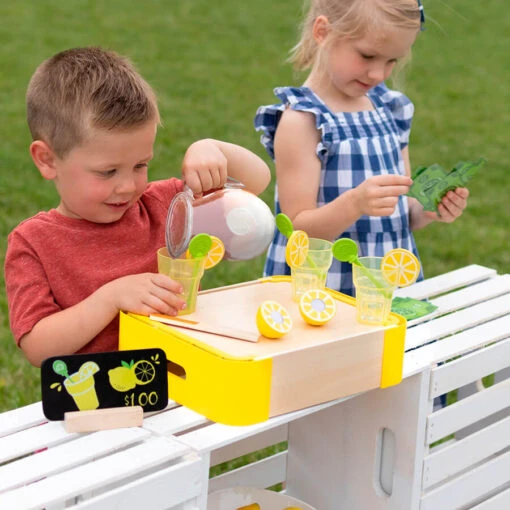 Fat Brain Toys Pretendables Lemonade Set