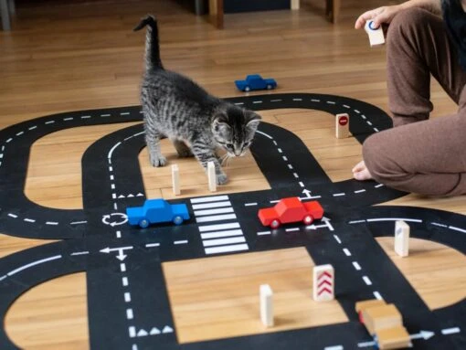 Way To Play King Of The Road 2 Cars - Image 2