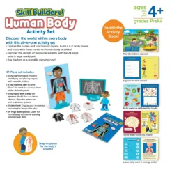 Learning Resources Skill Builders! Human Body Activity Set -Hape Shop SkillBuilders HumanBodyActivitySet 3 scaled