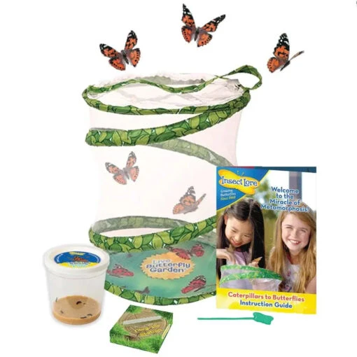 Butterfly Garden (Includes Prepaid Voucher To Send For Caterpillars) - Image 2
