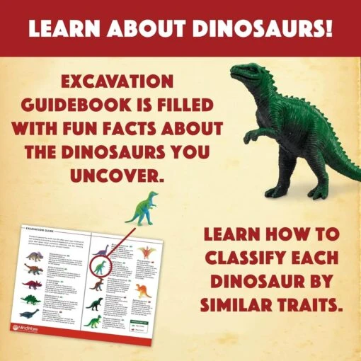 MindWare Dig It Up! Dinosaur Eggs Excavation Kit - Image 6
