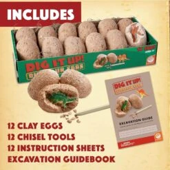 MindWare Dig It Up! Dinosaur Eggs Excavation Kit -Hape Shop digitupdinosaureggs 3