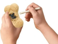 MindWare Dig It Up Discoveries Puppies -Hape Shop digituppuppies 1