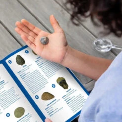 Learning Resources Geosafari® Fossil Excavation Kit 9 Learning Resources Geosafari® Fossil Excavation Kit -Hape Shop ei 5340 fossil excavation kit 5