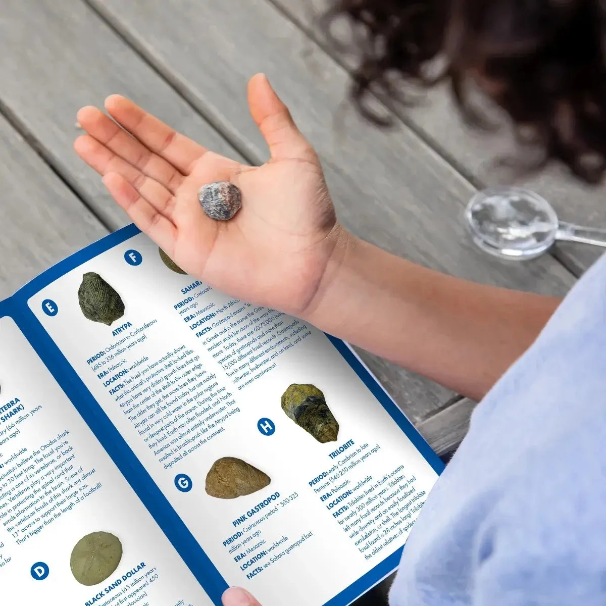 Learning Resources Geosafari® Fossil Excavation Kit 4 Learning Resources Geosafari® Fossil Excavation Kit - Image 4