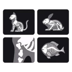 Veterinarian's Case Janod -Hape Shop veterinarian s case 3