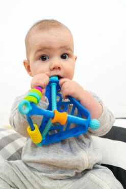 Wigloo Activity Toy -Hape Shop wigloo babies 00894